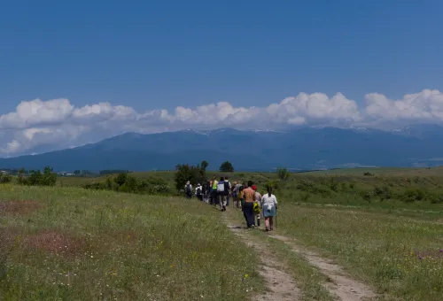a line of Green Pathways participants hiking across a highland meadow near Bansko, the Pirin mountains behind
