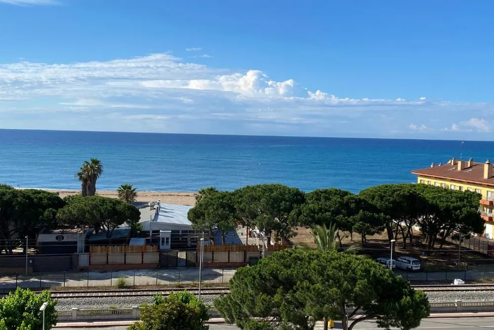 the Catalan coastline near Malgrat de Mar, lined with palm trees