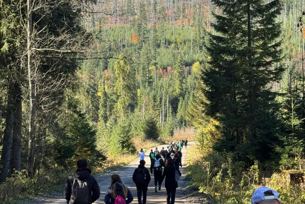 participants hiking along a forest road near Murzasichle